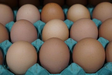 Brown farmer eggs on a green carton tray
