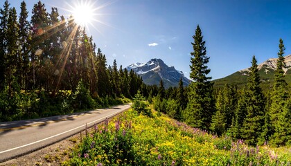 Scenic mountain road with wildflowers