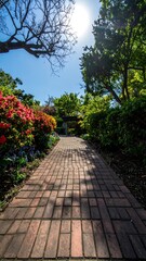 Sunny garden path