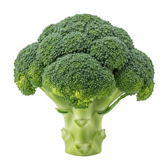 Close up of a fresh green broccoli florets and stem isolated on a solid backdrop transparent background
