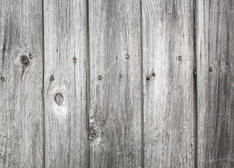 texture of a gray wooden fence with nails