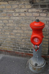 a fire hydrant  on the street of Copenhagen, Denmark  and a brick wall in the backgropund