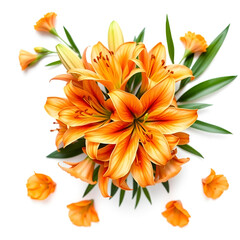 Obraz premium Bouquet of beautiful delicate orange lilies Lilium Asiatic Hybrid Orange Ton isolated on white background. Fashionable creative floral composition. Summer, spring. Flat lay, top view. Valentine's Day