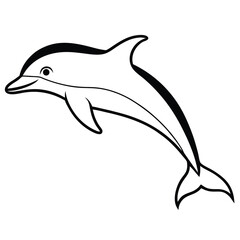 dolphin jumping isolated on white background