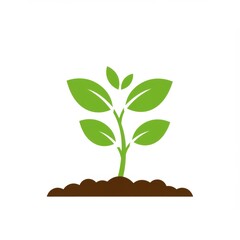 Green Sprout with Leaves Growing from Brown Soil on White Background