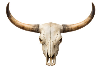 Fototapeta premium Longhorn Skull A Majestic Symbol of the American West