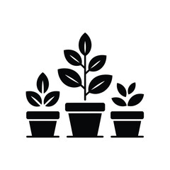 Three potted plants growing healthy leaves inside containers representing growth and agriculture