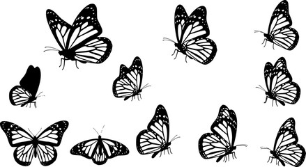 Monarch butterfly silhouettes collection, vector illustration isolated on white background