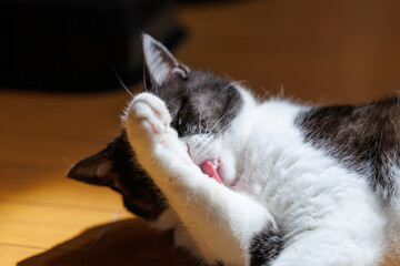 Fototapety na wymiar - Fototapeta24.pl