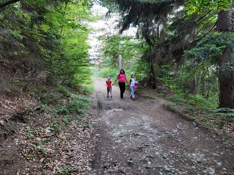 Woman and two kids hiking in the forest. Parents and two kids enjoying forest walk, authentic diverse people connecting with nature and healthy lifestyle.