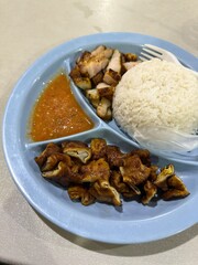 A meal served o compartmentalized plate. the top right compartment contains a serving of white rice. the bottom section of the plate is filled with crispy barbecue pork belly and pork intestines.