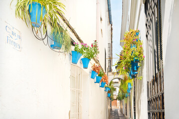 Famous Calleja de las Flores narrow street alley with plants in colorful flower pots hanging throughout its facades in Cordoba city. Travelling by the beautiful Spain. Picturesque street in Andalusia.