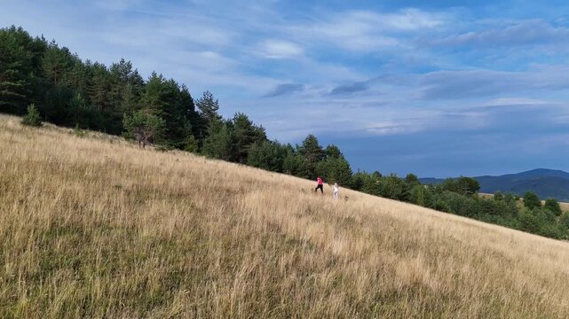 Aerial shot. Woman and girl walking through dry grass. Outdoor activity, family, hiking, trekking.