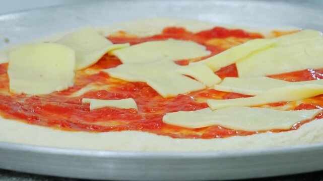 pizza with tomato sauce and cheese