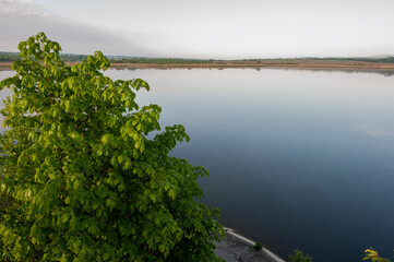 Beautiful summer morning landscape with green tree over pond. Scenic landscape with cloudy blue sky over pond.