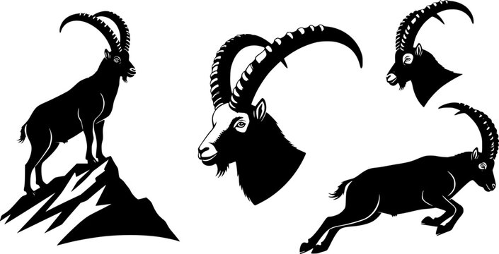 Ibex silhouette, Ibex goat silhouette, Alpine ibex silhouette, Ibex vector, Ibex Gazelle, Ibex icon set