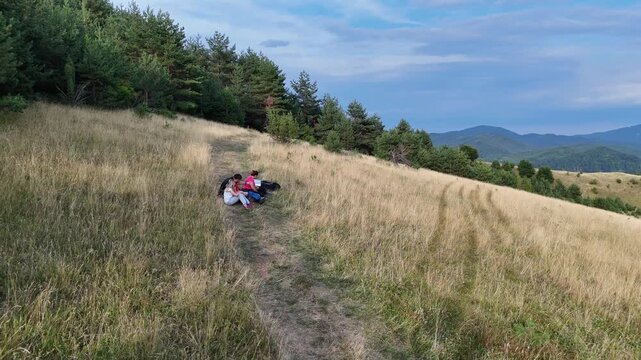 Aerial shot of a family with two children resting at a lookout point after a walk in the woods. Boy with Down syndrome. Children with disabilities in everyday life..