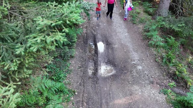 Family day out in the forest, parents supporting son with Down syndrome while hiking together.
Inclusive outdoor activity, family hiking in nature trail surrounded by tall trees and greenery.