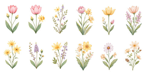 Set of illustrations with flowers in pastel colors