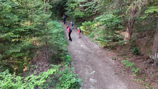 Parents and two kids enjoying forest walk, authentic diverse people connecting with nature and healthy lifestyle.