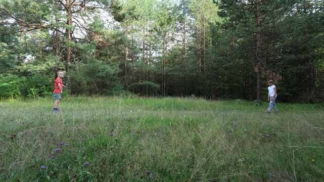 A  boy throws a frisbee with his sister in a grassy clearing in the woods. A break and fun on a family hike. Disabled kid interaction and inclusion. 