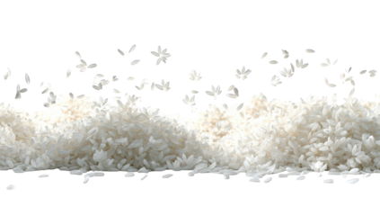 White rice spilling over