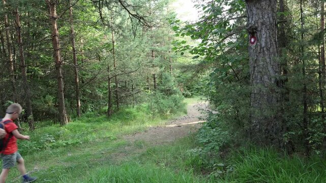 Family with children hiking through a green forest trail on a sunny day. Family with child with disability spending quality time outdoors, hiking in lush green woodland.