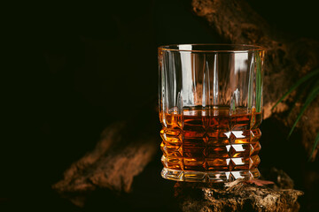 Blended whiskey in glass. Dark background with old driftwood and big leaves