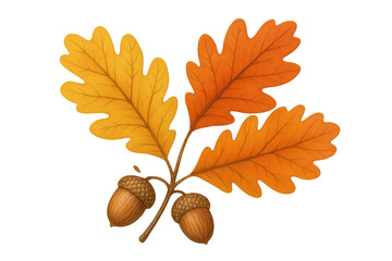 Vibrant autumn oak leaves and acorns on transparent background