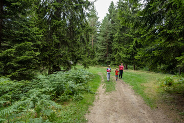 Fototapeta premium Walk in the woods. Family with child with disability enjoying outdoor adventure in nature.