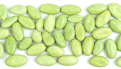 Light green oval seeds arranged in a horizontal row