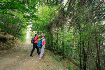 Obraz premium Walking in the woods. Parents and children bonding outdoors, walking on dirt path in forest, authentic family lifestyle.