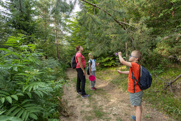 Hiking in the forest. Two kids and woman explore plants in the forest.