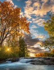 autumn in the forest
