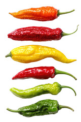 Colorful peppers in a vertical row