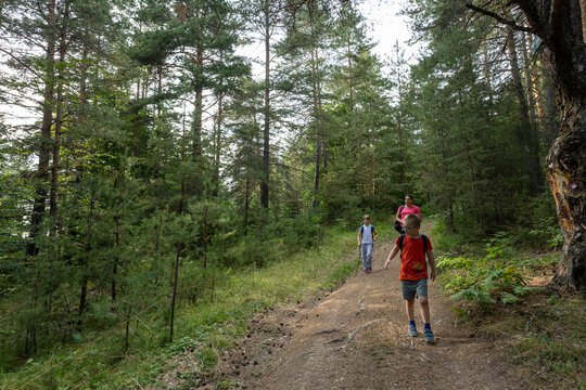 Parents and kids enjoying outdoor adventure, diverse family bonding in nature while exploring green forest path.