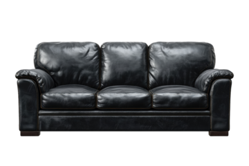 Dark leather sofa.  Front view (1)