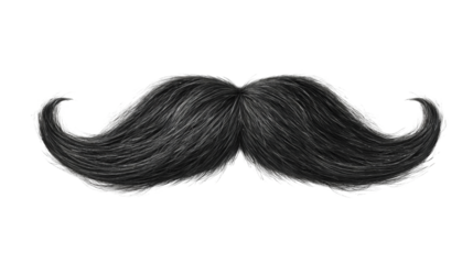 A detailed illustration of a large mustache