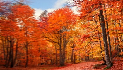 Fototapeta premium vibrant autumn forest scene with colorful trees ablaze in shades of orange and red