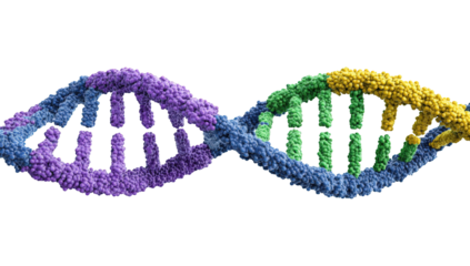 DNA double helix, scientific illustration