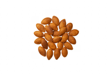 Roasted pumpkin seeds forming a circle on transparent background