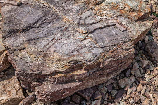 Chert / sedimentary rock. commonly with thin interlayers of reddish-brown shale, graywacke and greenstone. Coyote Point Beach, San Mateo, California. San Francisco Peninsula. San Francisco Bay
