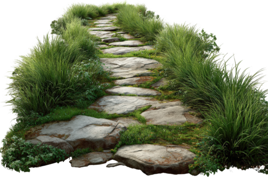 Pathway through a grassy landscape