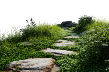 A pathway through a grassy hill