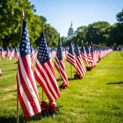 American flags in a field