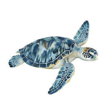 Detailed watercolor sea turtle illustration with intricate shell pattern and graceful movement