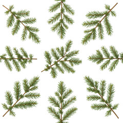 Naklejka premium Elegant coniferous sprigs on deep black background for christmas time illustration