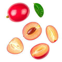 Vibrant fruit slices graphic design