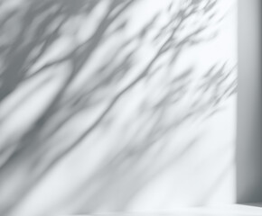 Obraz premium 儚さを感じる木漏れ日の影とモノクロームのテクスチャ背景（光影 静けさ 抽象）