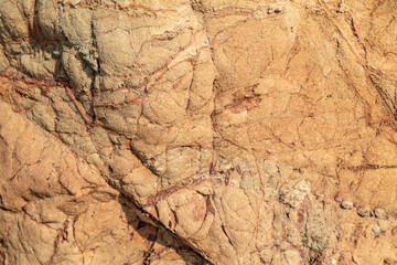 Greenstone / Metamorphic rock. Weathered. Dark-green to red, altered basaltic volcanic rocks. altered to clay minerals.Coyote Point Beach, San Mateo, California. San Francisco Peninsula / Bay